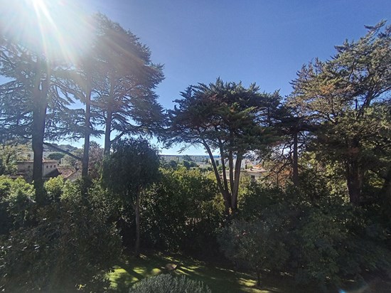 Appartement Cannes 3 pièce(s) 80 m2 + garage +cave