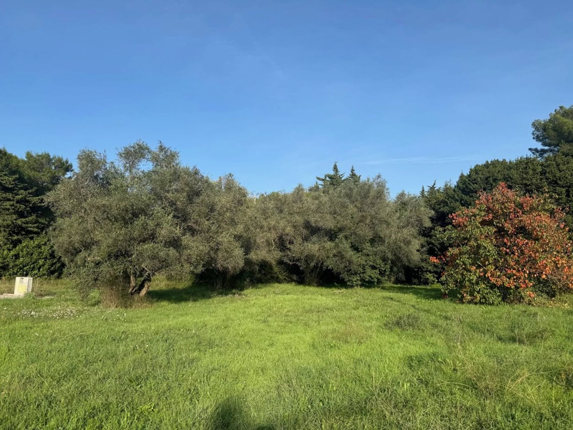 Le Cannet Terrain Constructible à Vendre