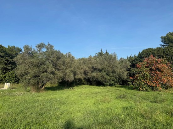 Le Cannet Terrain Constructible à Vendre