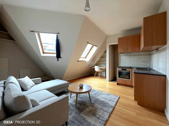 Studio à rénover - Dernier étage avec vue sur les toits parisiens