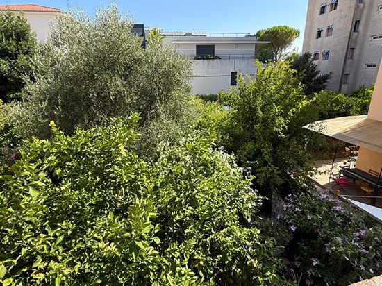 Appartement Cannes 3 pièces 56.79 m²