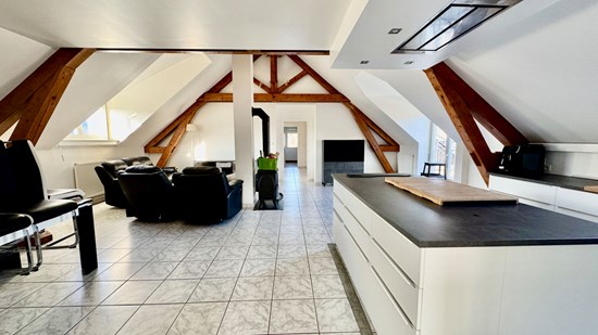 Les Echelles - Spacieux appartement 5 pièces avec grand garage, jardin