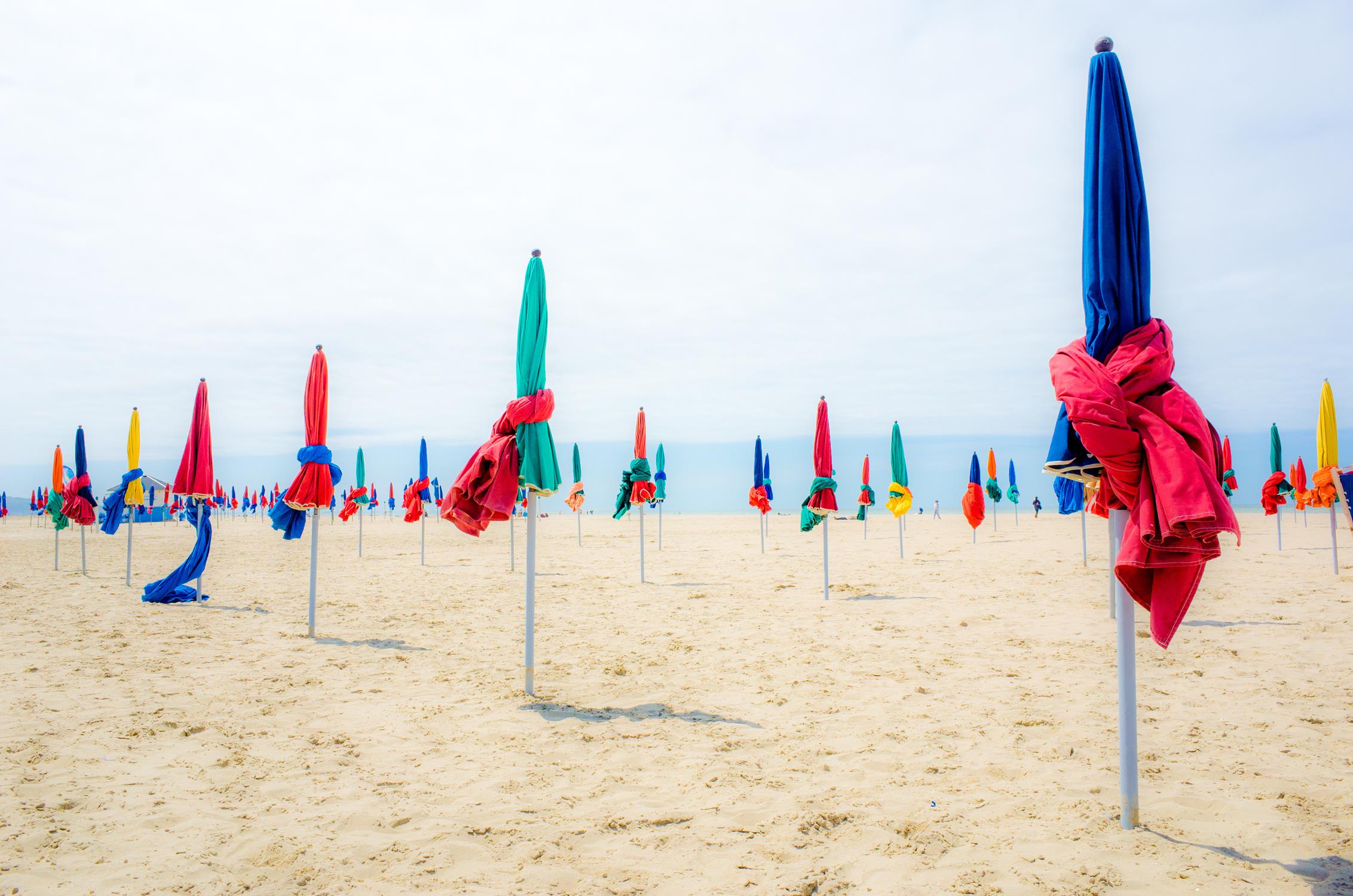 Festival du cinéma américain de Deauville & Off-Courts Trouville : que faire, que voir en 2026 ? 