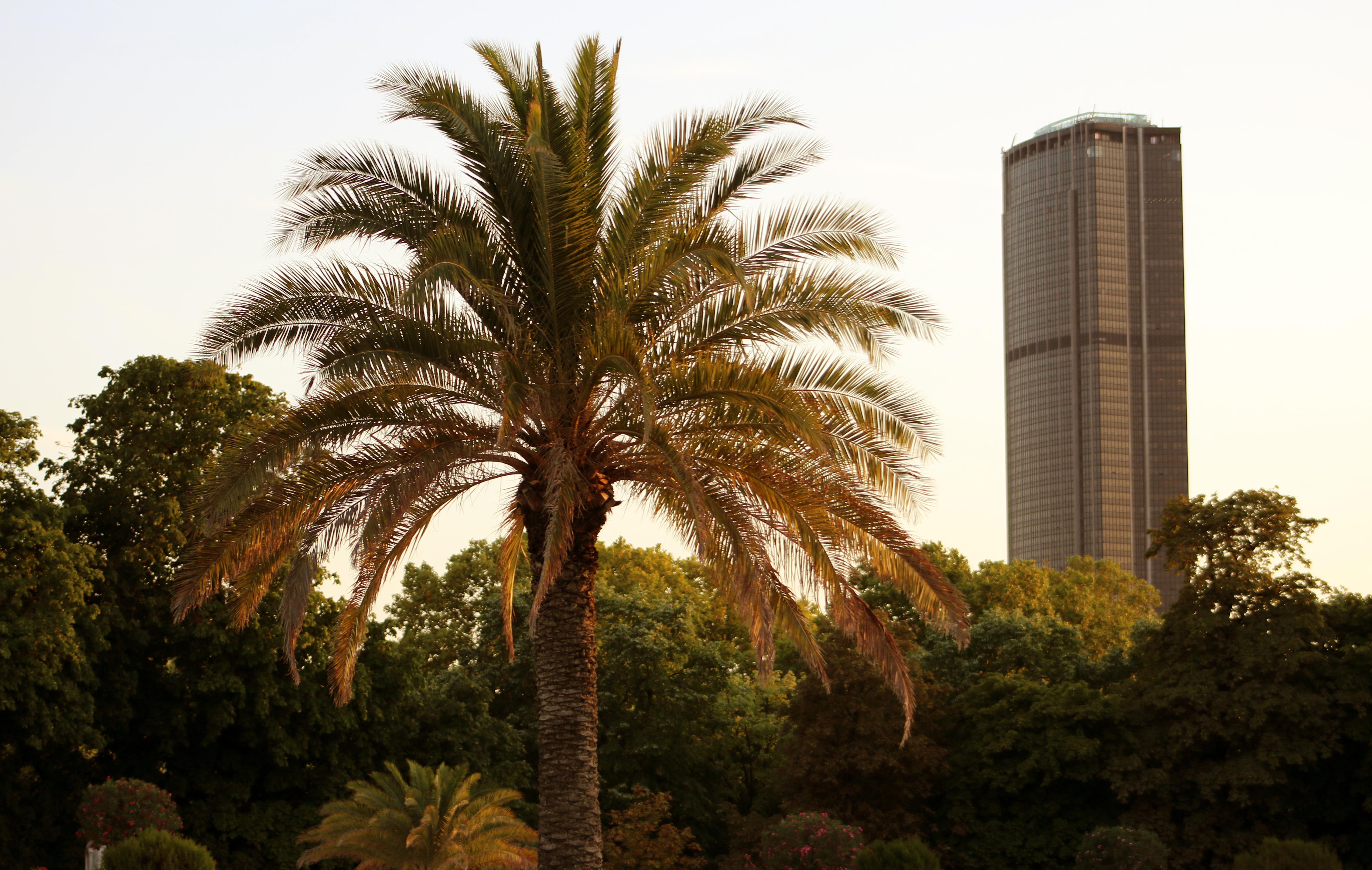Que faire à Montparnasse, quartier de l’âge d’or Parisien ? 